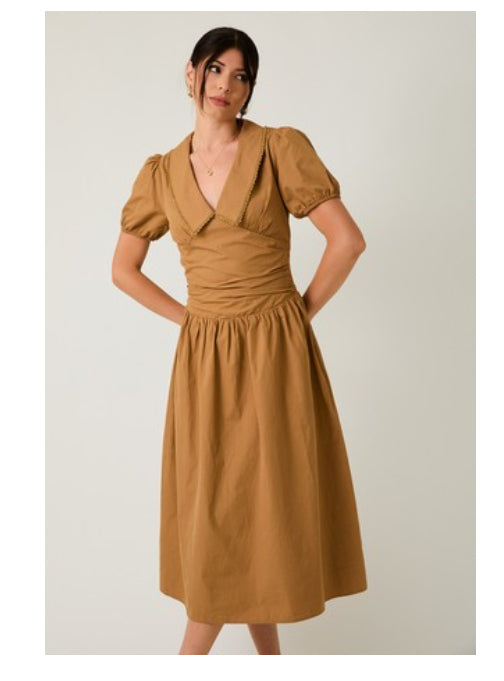 Brown Dress